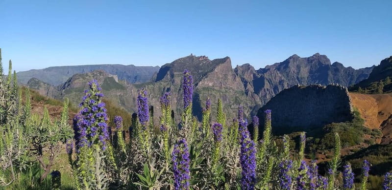 Madeira East Island Tour and Levada Walk - The morning push: out of Funchal and above the cloud line