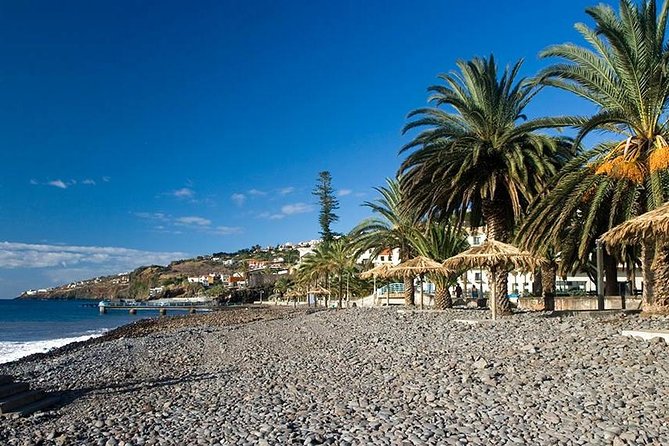 Madeira East Tour from Funchal - Santana lunch stop: thatched houses, real-time choices, and time to breathe