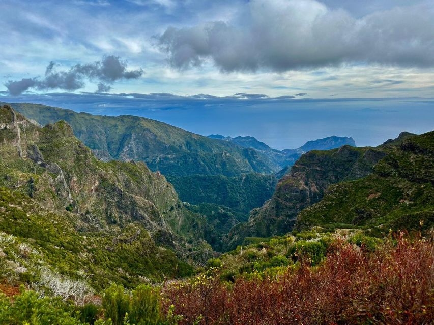 Madeira : East Tour - Santana North Side - The guide and group vibe: why the small group matters