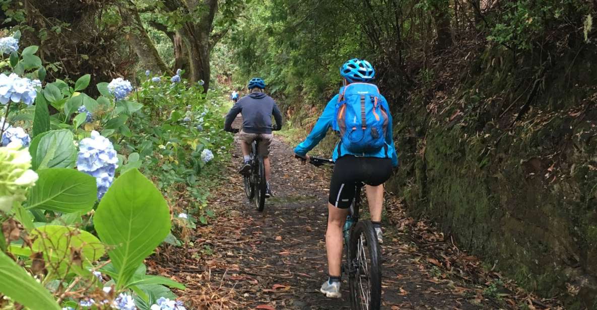 Madeira Easy Levada Biking Tour – Scenic & Relaxed - Who This Tour Fits Best (and Who Should Skip It)