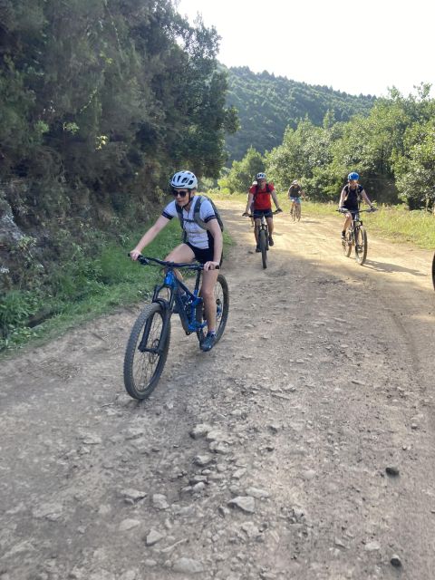 Madeira Easy Levada Biking Tour – Scenic & Relaxed - The Bike Setup: Full-Suspension Comfort and SPD Options