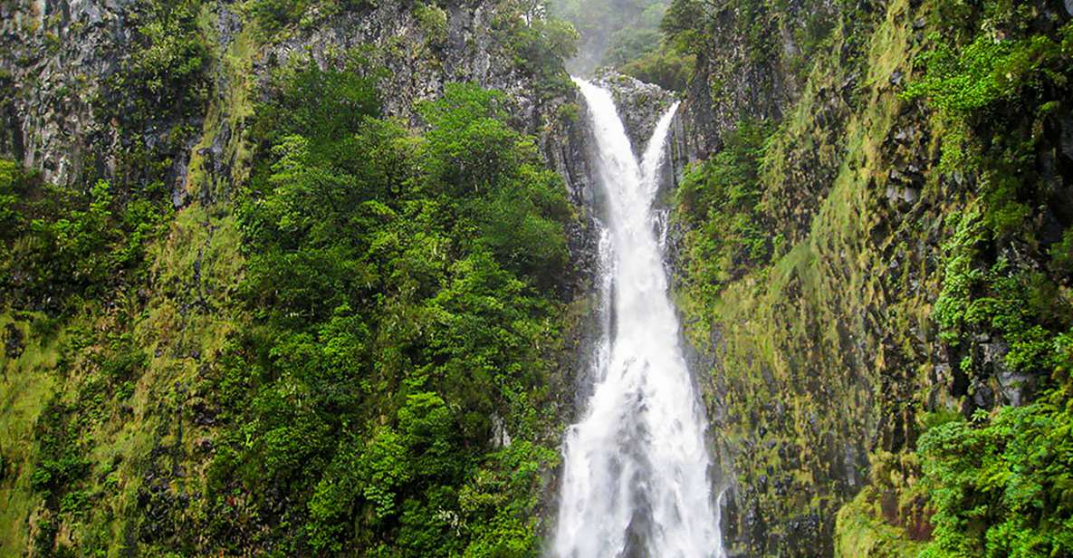 Madeira: Enjoy a Guided Levada Walk in the Rabaçal Valley - Quick hits: what makes this levada walk worth your time