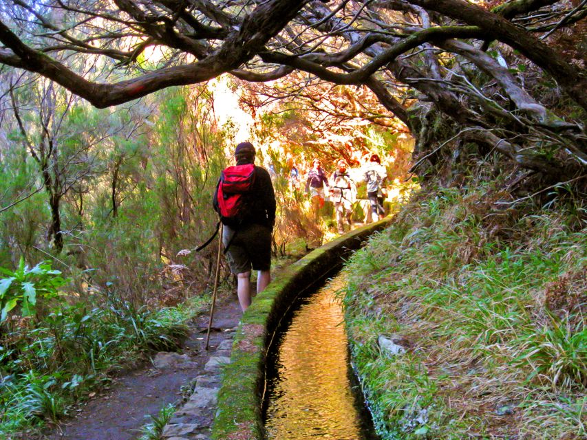 Madeira: Enjoy a Guided Levada Walk in the Rabaçal Valley - Terrain reality check: steep steps, narrow paths, and pacing