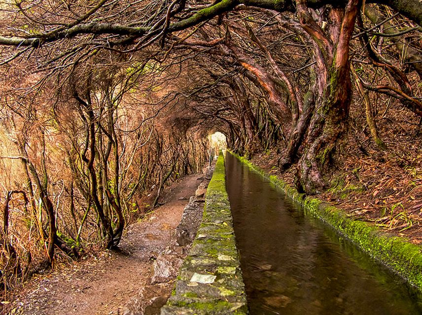 Madeira: Enjoy a Guided Levada Walk in the Rabaçal Valley - Who this levada walk is best for, and who should skip it