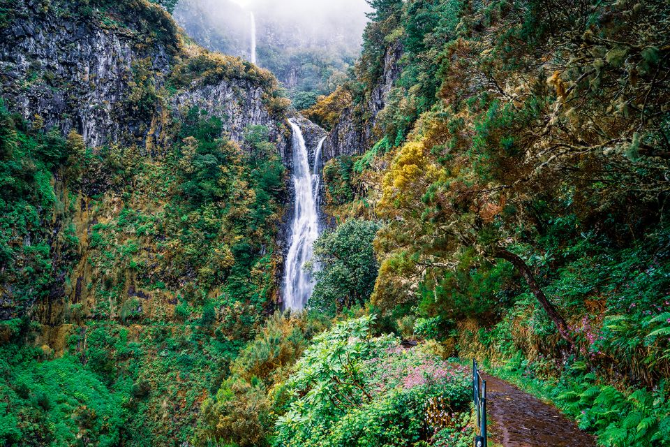 Madeira: Enjoy a Guided Levada Walk in the Rabaçal Valley - Following Madeira’s levada system down to Levada do Risco