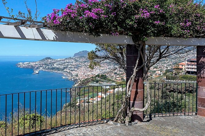 Madeira Essence Half Day Tour for Cruises - Why This Tour Works So Well for Cruise Days