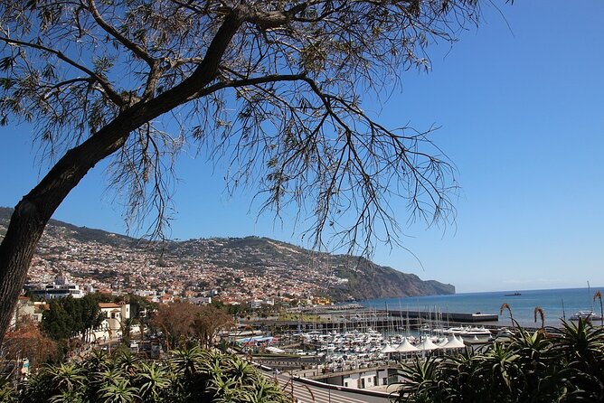 Madeira Essence Half Day Tour for Cruises - Old Funchal Walk: The Painted-Doors Part of the Day