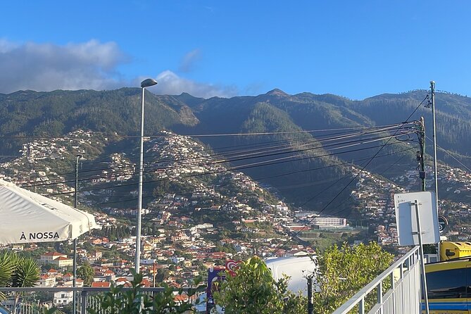 Madeira Essence Half Day Tour for Cruises - The Guide Factor: Clear Explanations Make the Difference