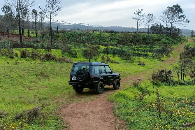 Madeira: Experiência 4WD Skywalk para Seixal Porto Moniz, Fanal - Key Things to Know Before You Go