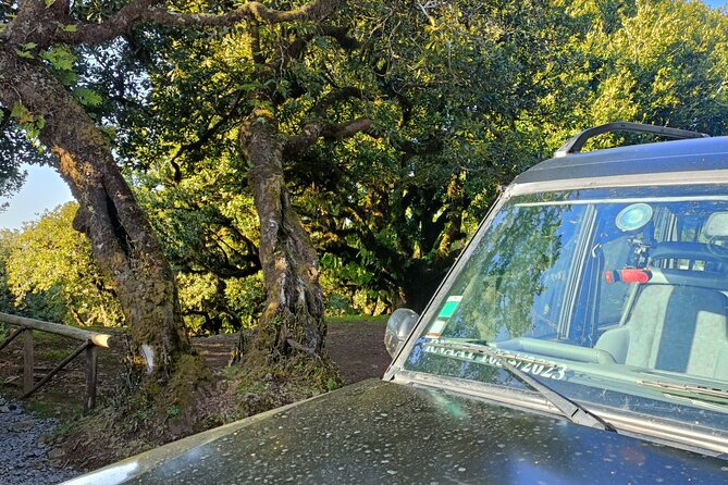 Madeira: Experiência 4WD Skywalk para Seixal Porto Moniz, Fanal - Ponta do Sol and the Old Pear: A Calm Finish With Local Texture