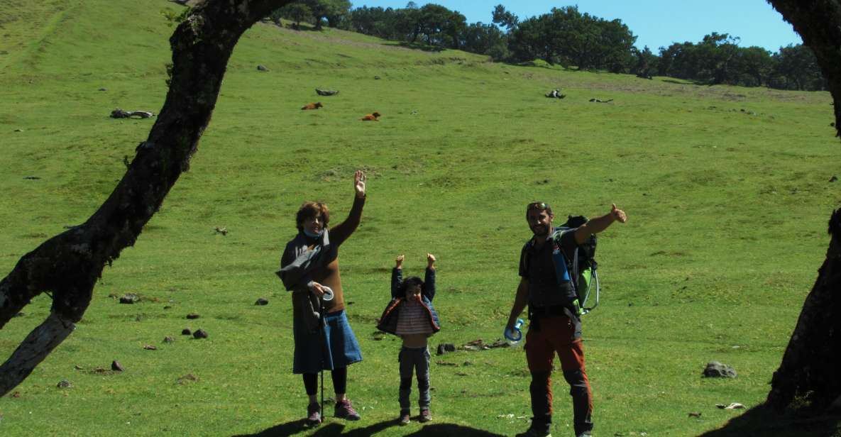 Madeira: Fanal Forest Guided Hiking Tour - Key Things That Make This Fanal Hike Worth It