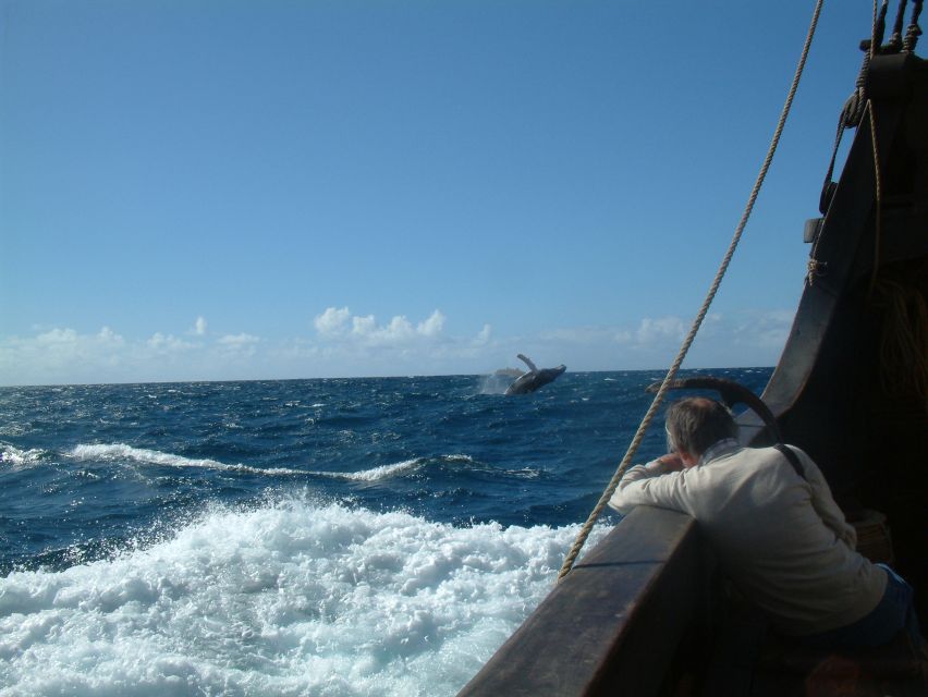 Madeira: Flag Ship Tour aboard Santa Maria de Colombo - What to Bring for a Comfortable 3-Hour Trip