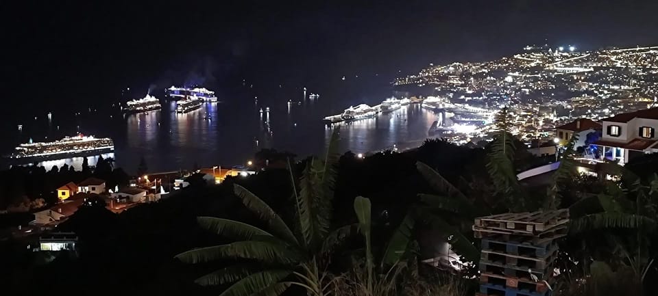 Madeira: Folk Dancing Show and Traditional Local Dinner - Who This Tour Suits Best (and Who Might Want Another Option)