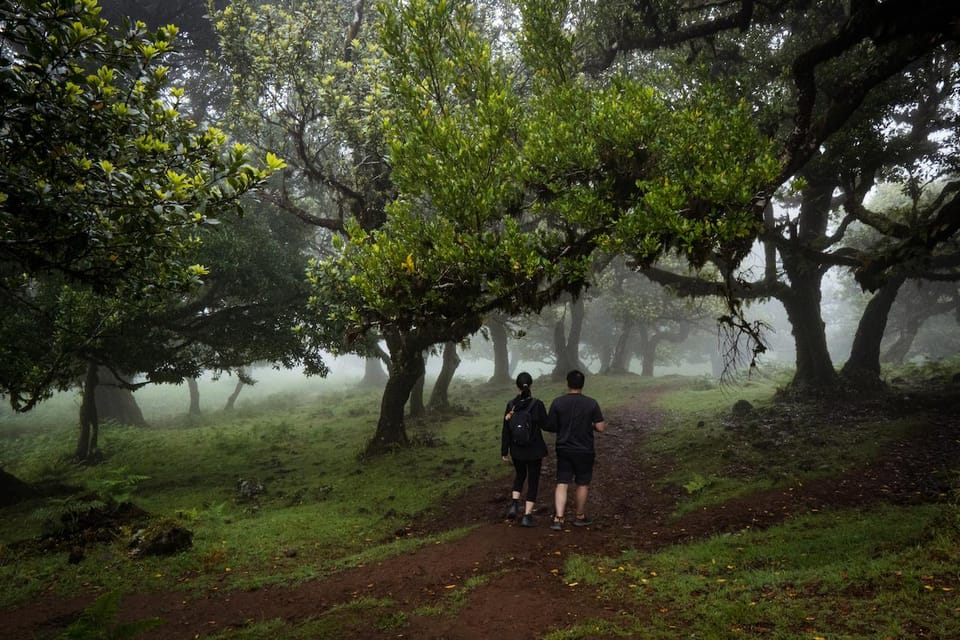 Madeira : Full Day Adult-only west 4x4 Tour - Key things to know before you go