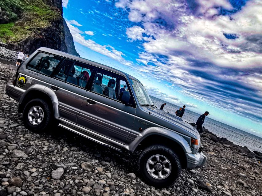 Madeira: Full-Day Jeep Tour, Natural Pools, Seixal & Fanal - Fanal Forest and Paul da Serra: that ancient forest walk people remember