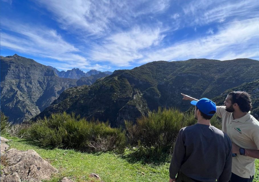 Madeira: Full-Day Jeep Tour with Guide and Pickup - Fanal Forest: The Slow-Moment Stop You’ll Remember