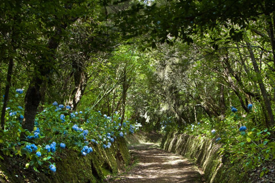 Madeira: Full-Day Laurel Forest Guided Walking Tour - Caldeirão Verde: your short break where the scenery cashes in