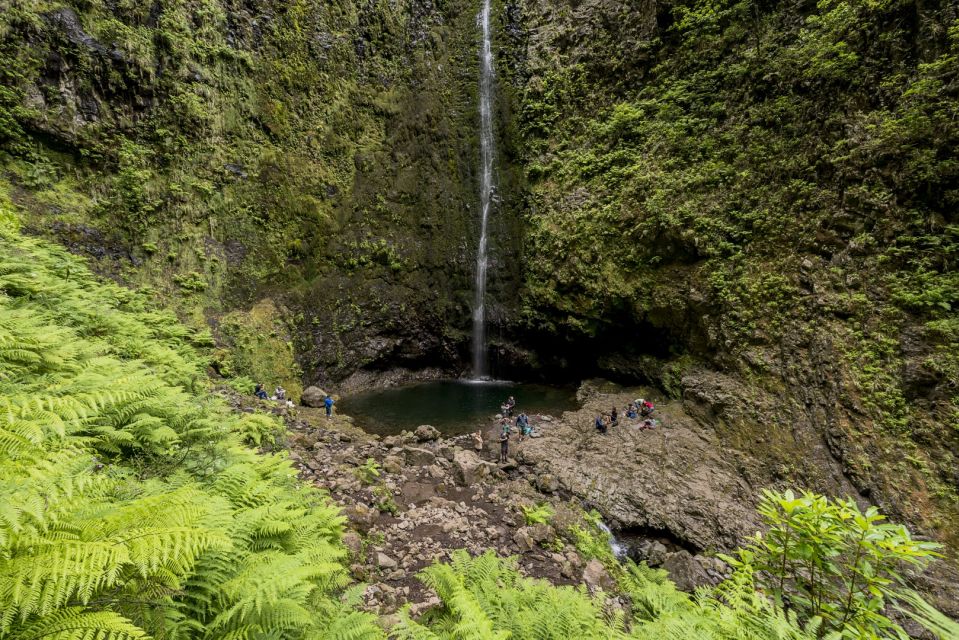 Madeira: Full-Day Laurel Forest Guided Walking Tour - The second 2-hour walk back: same route, different mood