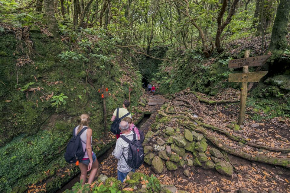 Madeira: Full-Day Laurel Forest Guided Walking Tour - Should you book the Madeira Laurel Forest Full-Day Levada Tour?