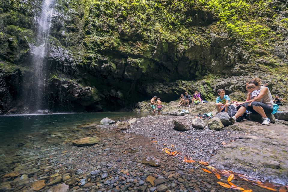 Madeira: Full-Day Laurel Forest Guided Walking Tour - The morning walk: 2 hours through laurel forest with tunnel anticipation
