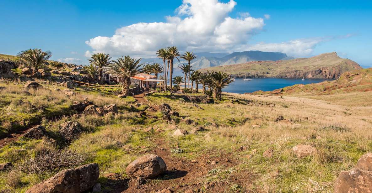 Madeira: Full-Day of Activities in Ponta de São Lourenço - Kayaking Baía d’Abra: caves, coastline photos, and a guided route