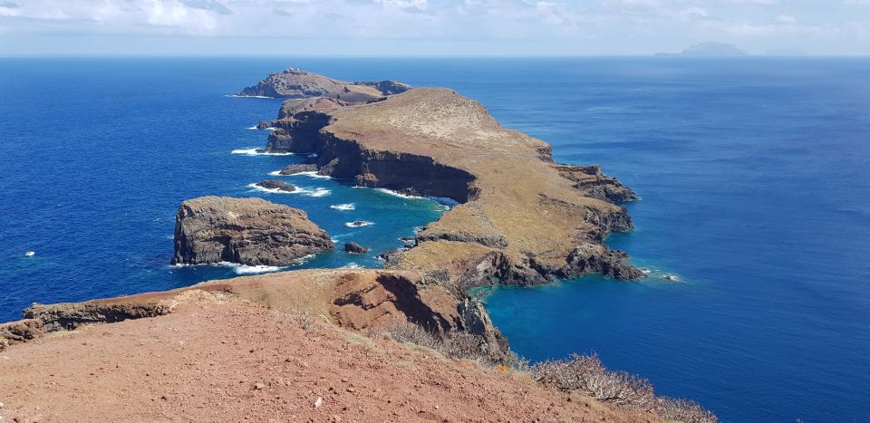Madeira: Full-Day of Activities in Ponta de São Lourenço - Snorkeling at Cais do Sardinha: sea life you can actually spot