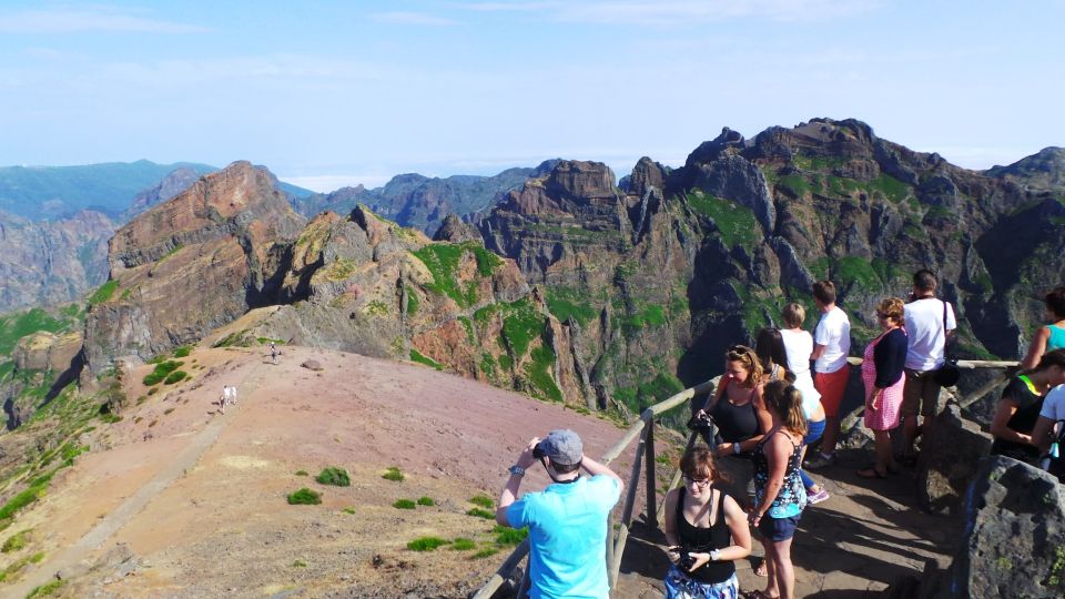 Madeira: Full Day Private Jeep Tour East or West - Fanal Forest on the west side: a slower, moodier stop
