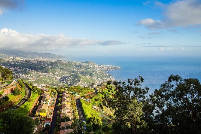 Madeira Full Day Tour West and East Island Top Highlights Tour - Porto Moniz Natural Swimming Pools: The Best Chance to Swim and Eat