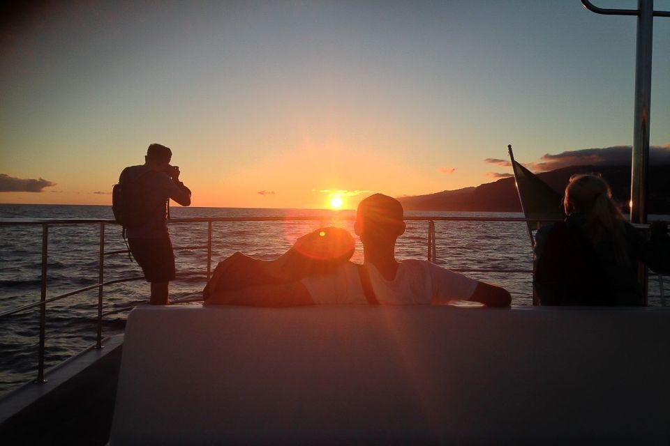Madeira: Funchal Sunset Tour by Catamaran - Cabo Girão Cliff Stop: Swimming and Snorkeling in the Evening Light