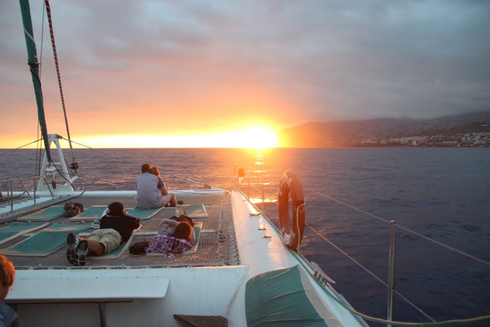 Madeira: Funchal Sunset Tour by Catamaran - Crew Talk: Learning Marine Life Without Turning It Into a Lecture