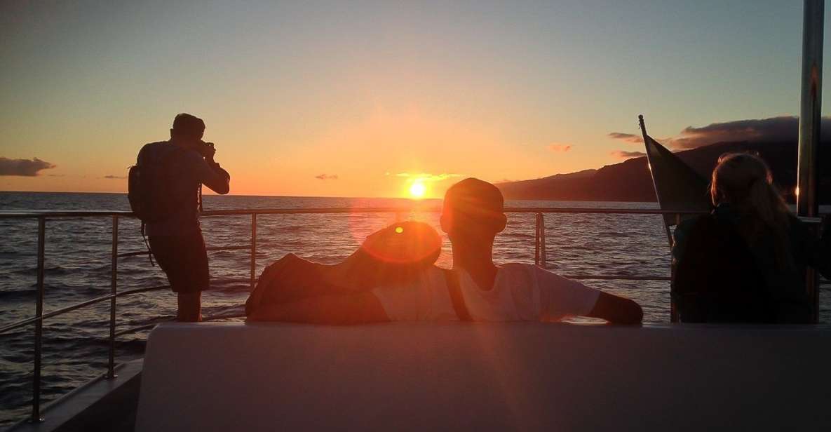 Madeira: Funchal Sunset Tour by Catamaran - Dolphins and Whales: The Hunt Is the Point (and the Backup Plan Helps)
