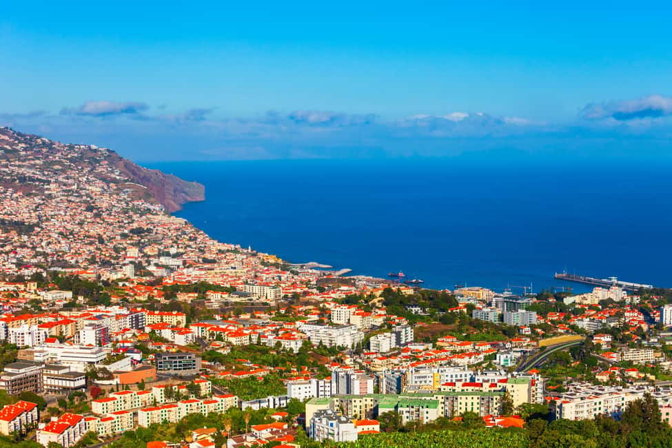 Madeira: Funchal's Eco Private City Tour - Fort of São Tiago: the view reason tour exists