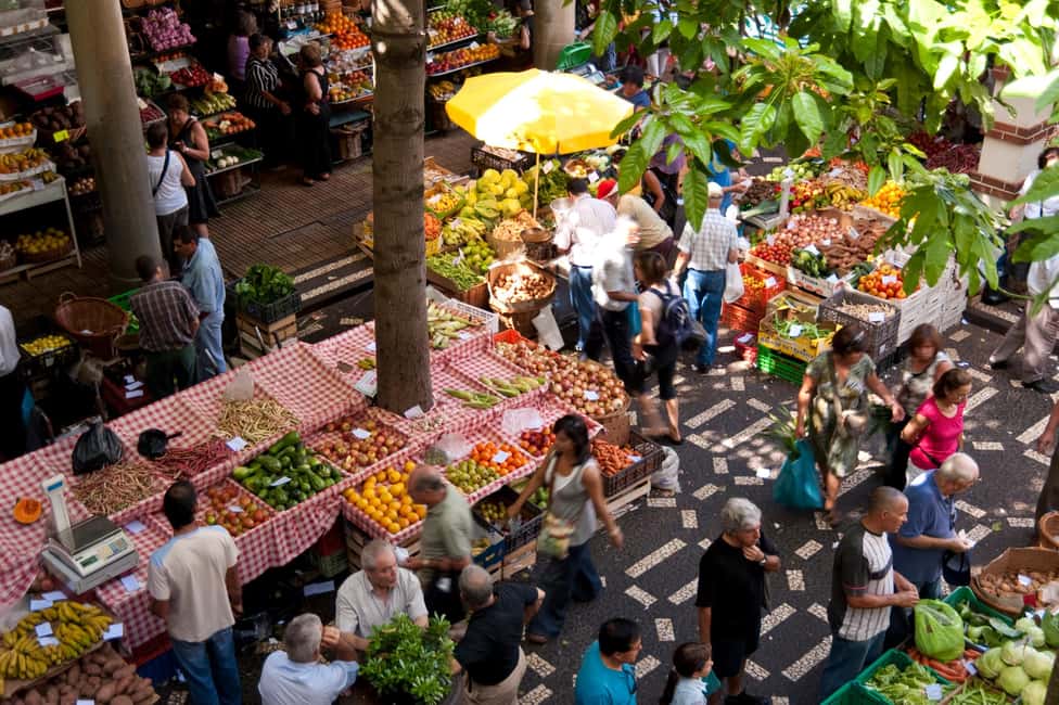 Madeira: Funchal's Eco Private City Tour - What the local guide adds (and why it feels different)