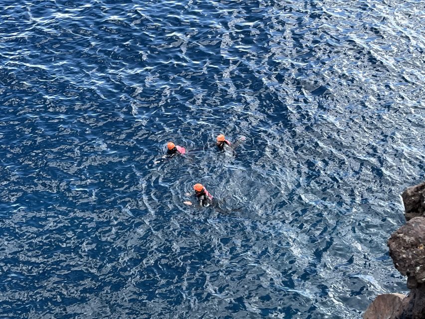 Madeira: Garajau Coastal Hike and Cliff Jumping - Snorkeling in the northern Atlantic: what you’re actually signing up for