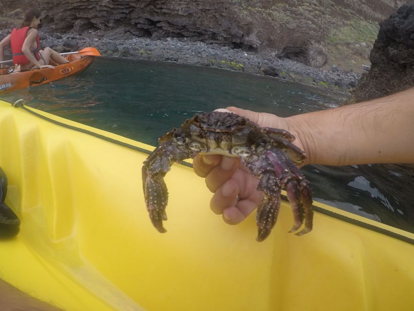 Madeira: Garajau Nature Reserve Kayak and Snorkel Tour - Who Should Book This Kayak and Snorkel Tour in Garajau?