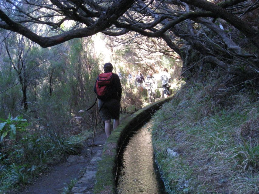 Madeira: Guided Full-Day Rabaçal Walk - The Levada of 25 Fontes: how the maintenance path shapes the experience