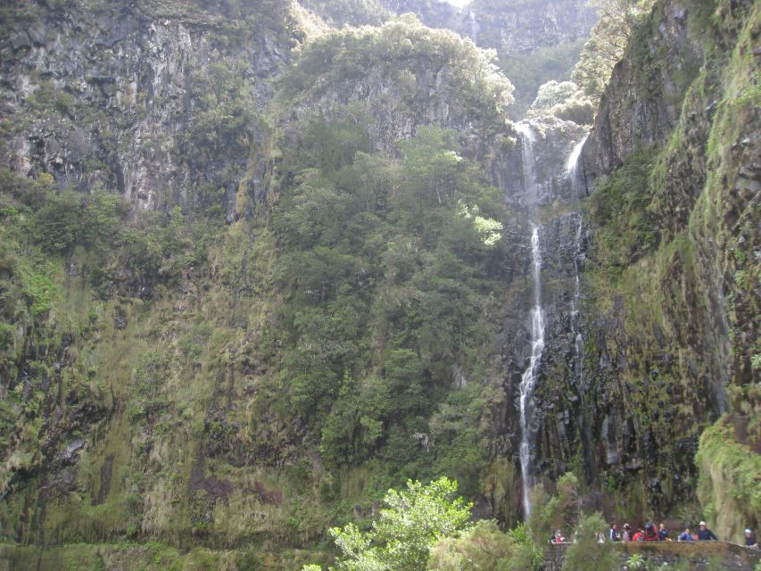 Madeira: Guided Full-Day Rabaçal Walk - At the cliff springs: seeing 25 Fontes (and handling crowds)