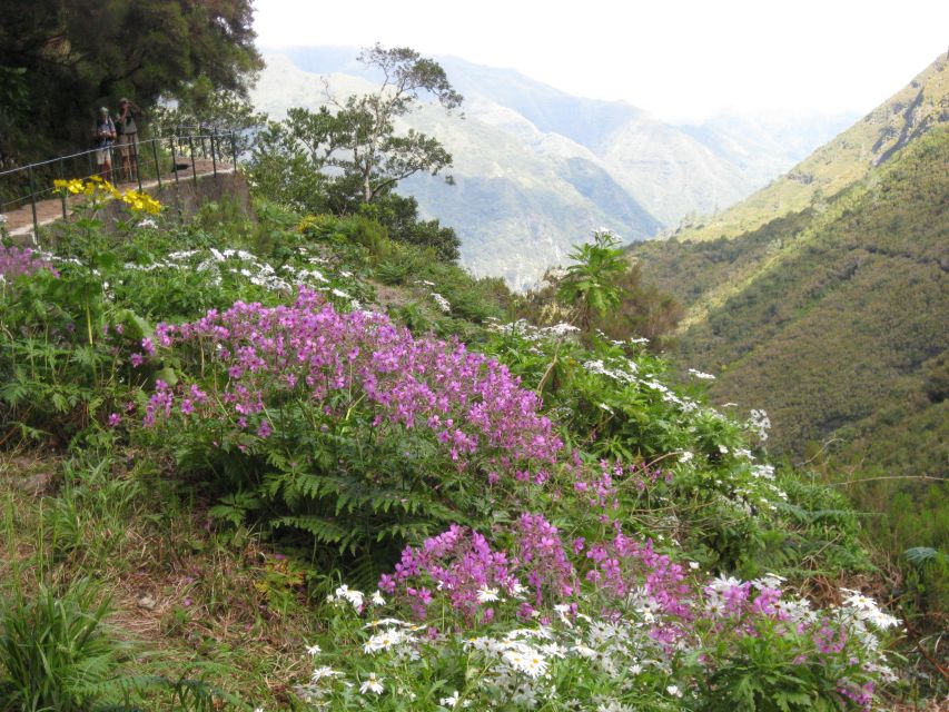 Madeira: Guided Full-Day Rabaçal Walk - The walk back and the 800-meter tunnel ride