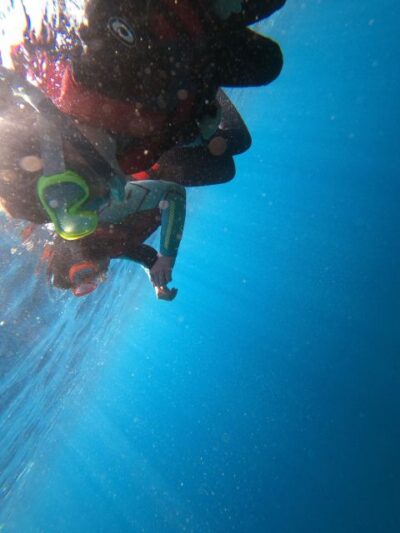 Madeira: Half-Day Coasteering Tour - The 4-Hour Route Feel: Cliffs, Caves, and Optional Jumps