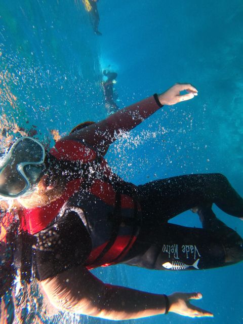 Madeira: Half-Day Coasteering Tour - Should You Book This Madeira Coasteering Tour?