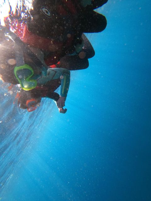 Madeira: Half-Day Coasteering Tour - The 4-Hour Route Feel: Cliffs, Caves, and Optional Jumps
