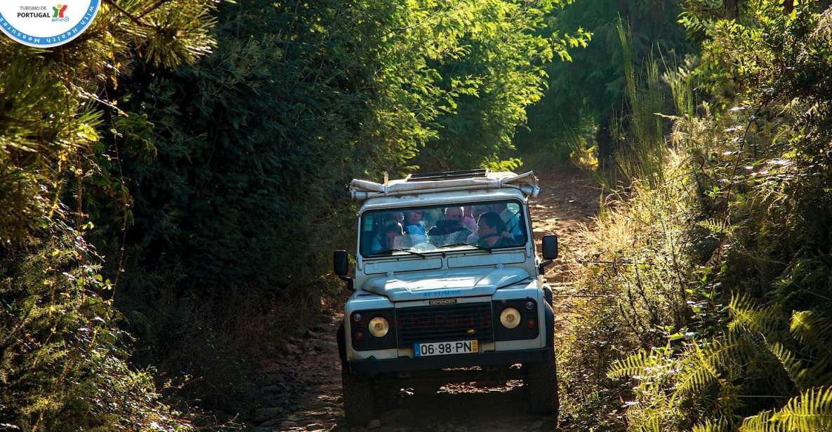 Madeira: Half-Day Nun's Valley and Sea Cliff Tour - Key things to know before you go