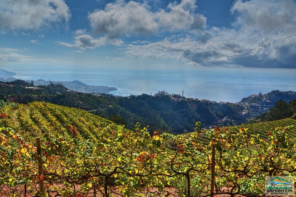 Madeira: Half-Day Nun's Valley and Sea Cliff Tour - FAQ