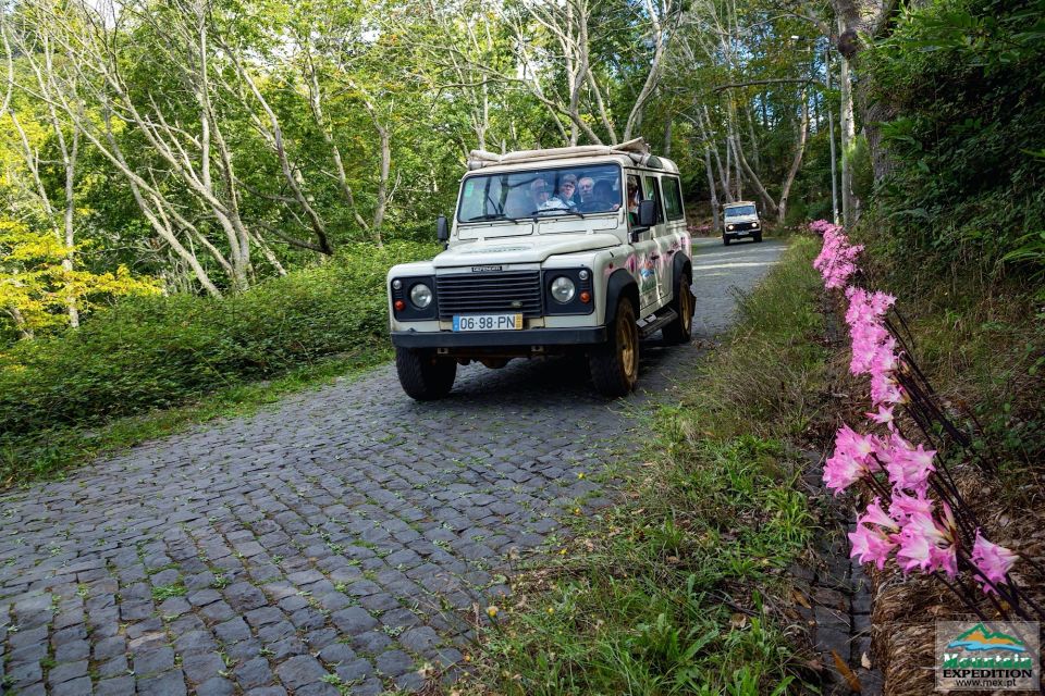 Madeira: Half-Day Nun's Valley and Sea Cliff Tour - Madeira’s Nun’s Valley by Jeep: why this route works