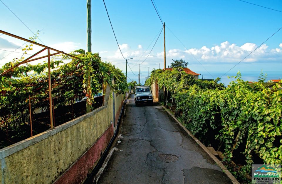Madeira: Half-Day Nun's Valley and Sea Cliff Tour - Stop-by-stop guide from Funchal to the sea cliffs