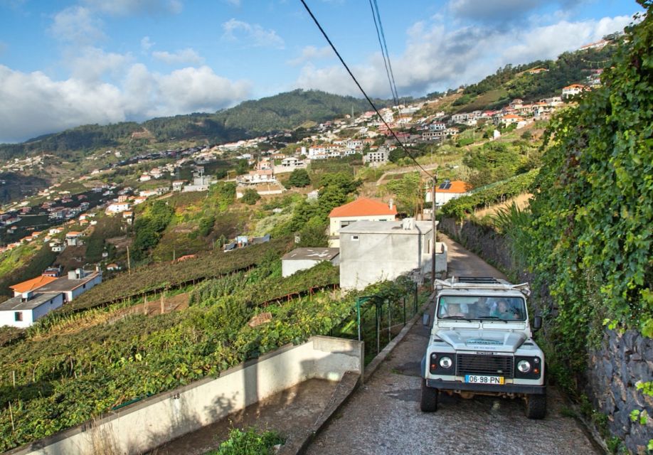 Madeira: Half-Day Nun's Valley and Sea Cliff Tour - Price and value: is $55 a smart use of time?