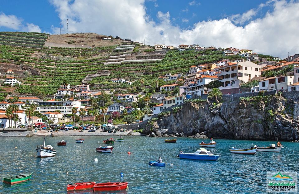 Madeira: Half-Day Nun's Valley and Sea Cliff Tour - Who should book this tour (and who should skip it)