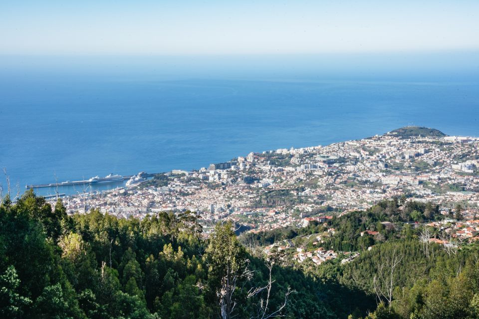 Madeira: Half-Day Pico Arieiro Jeep Tour - Off-Road in the Laurissilva Forest: Comfort Meets Dirt Roads