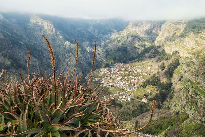 Madeira Half Day Small-Group Tour from Funchal - Price and value: what $75.31 buys you (and what it doesn’t)