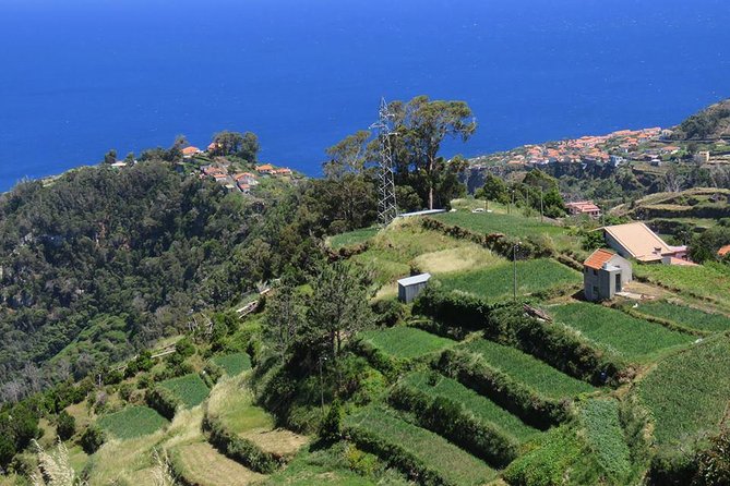 Madeira Highlights: Guided 4-Hour Tour from Funchal - Should you book the Madeira Highlights 4x4 Tour from Funchal?